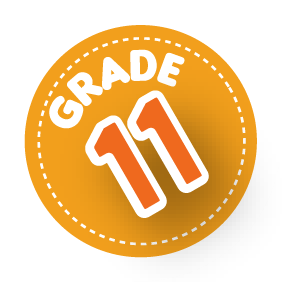 Grade 11